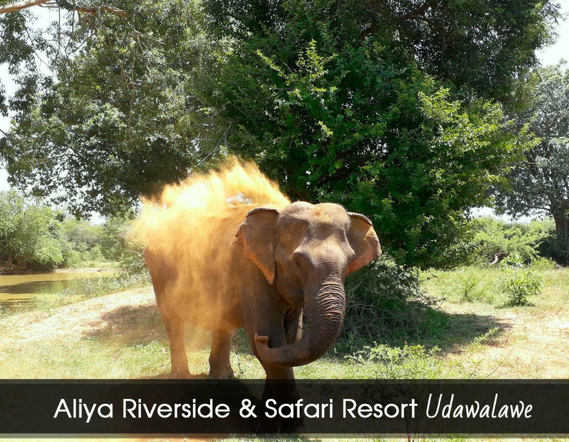 Aliya Riverside & Safari Resort Udawalawe Eksteriør billede