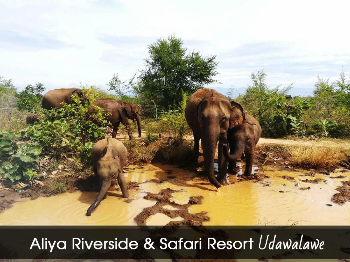 Aliya Riverside & Safari Resort Udawalawe Eksteriør billede